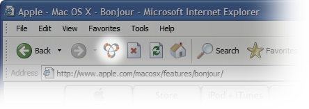 Image of Bonjour in Microsoft Internet Explorer on Windows